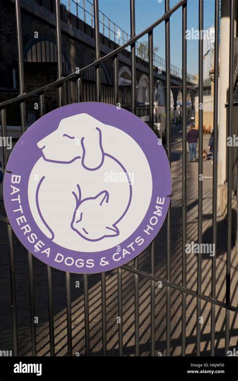 battersea dogs & cats home paw draw|On the Grid : Battersea Dogs & Cats Home.